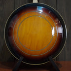 Washburn  B-16 w/ OHSC (Used - Recent)