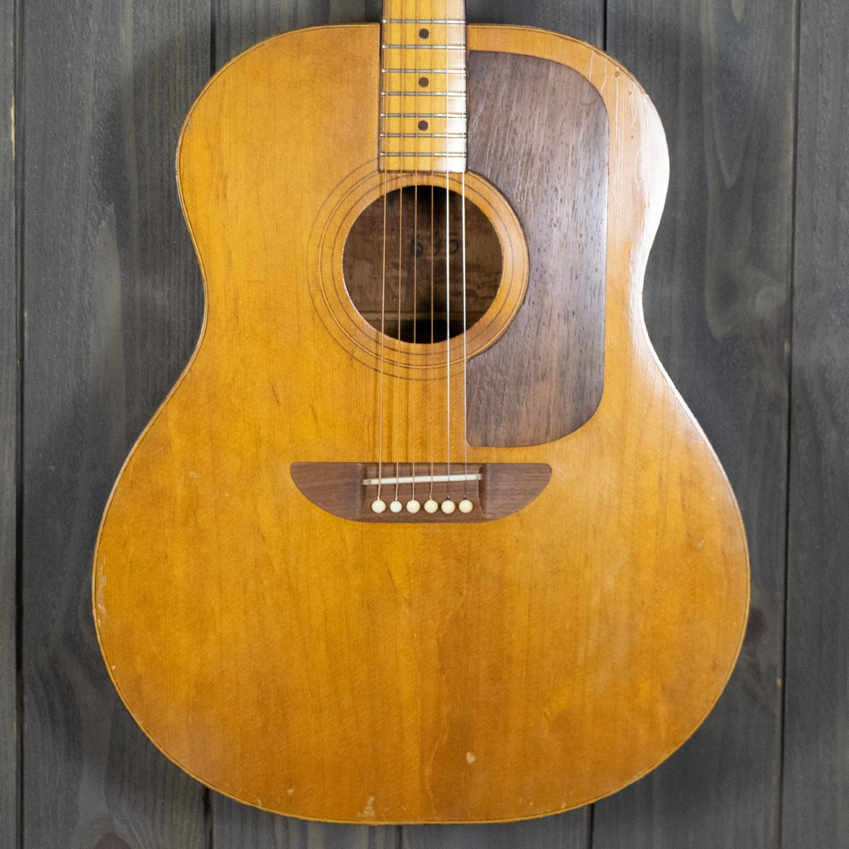 Ernie Ball Earthwood Natural (Vintage - 1970s)