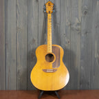 Ernie Ball Earthwood Natural (Vintage - 1970s)