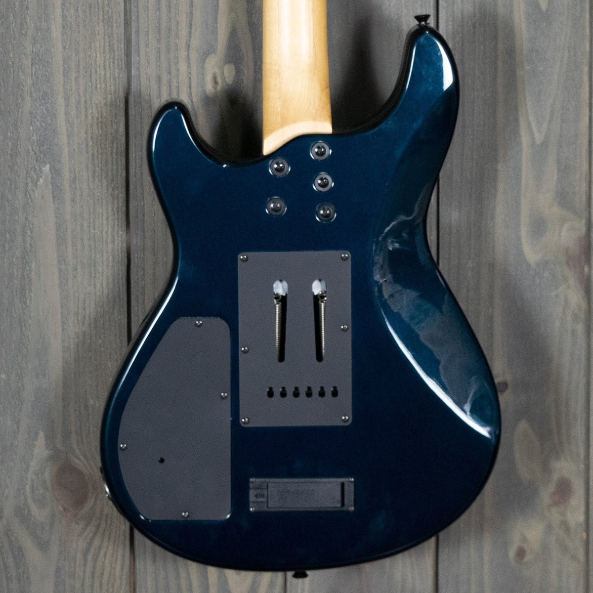 Fernandes APG-65S w/ Chip Case (NOS - 2000s)