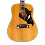 Gibson Dove Custom w/ HSC (Vintage - 1971-75)