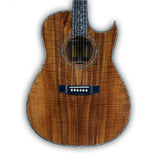 John Dillon Custom Acoustic w/ HSC (Used - 2004)